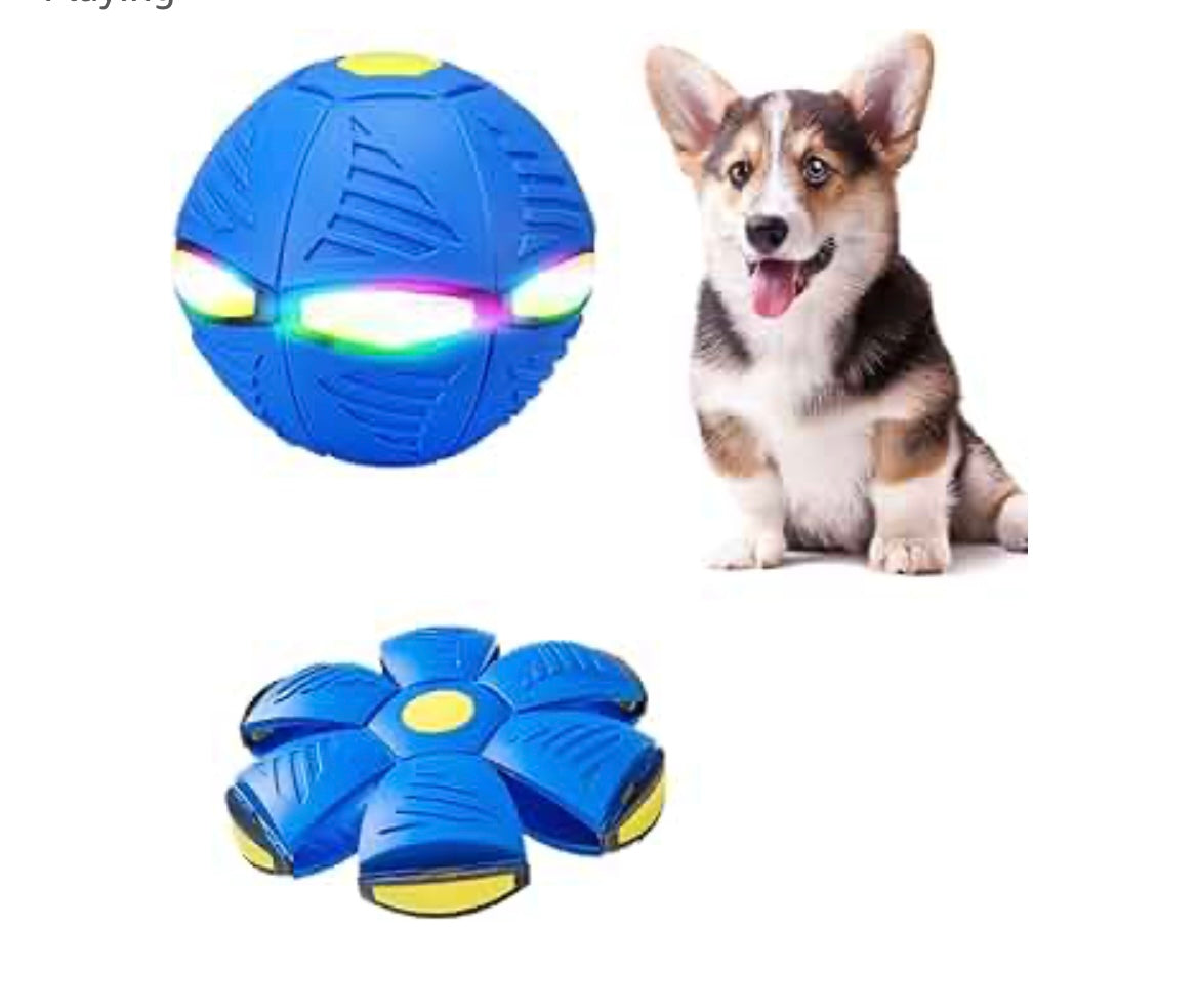 Flying Disc Interactive Ball-Transformable Frisbee