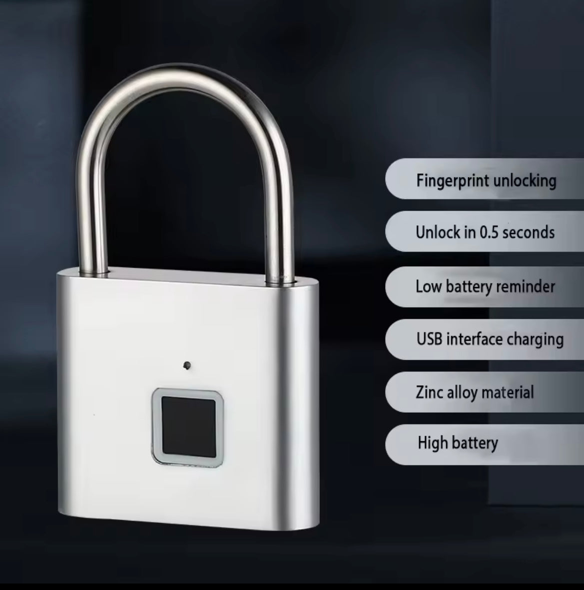 Secure Access Control Fingerprint Lock