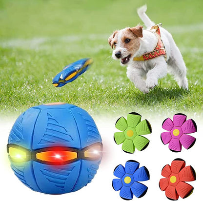 Flying Disc Interactive Ball-Transformable Frisbee