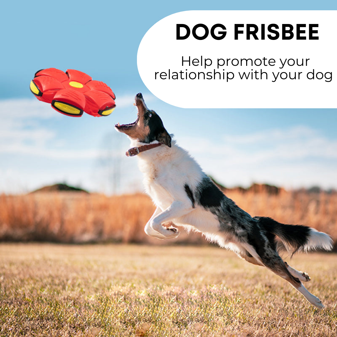 Flying Disc Interactive Ball-Transformable Frisbee